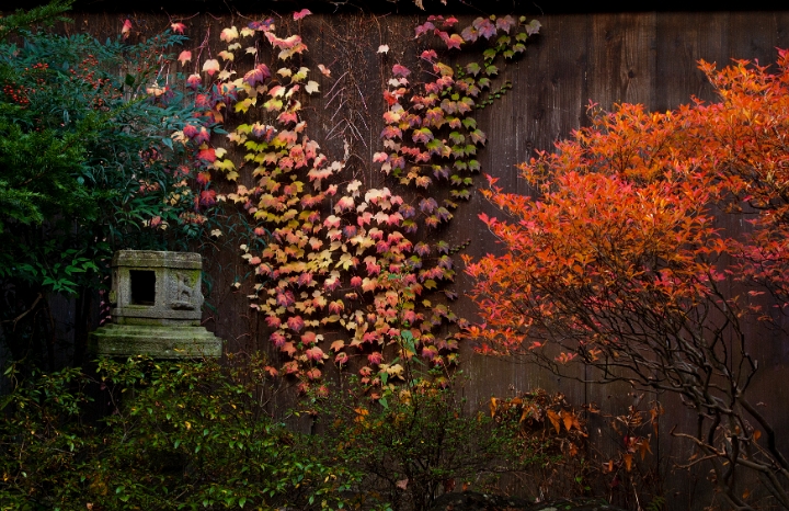 Takayama-Kusakabe Heritage House Color 11-0739.jpg